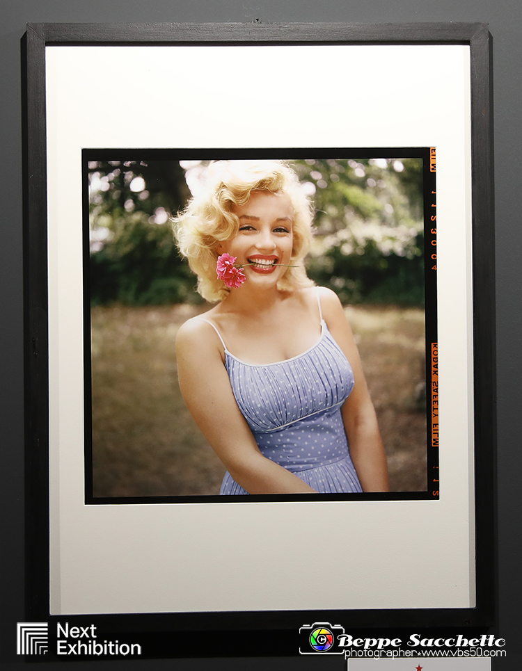VBS_6942 - Mostra Forever Marilyn by Sam Shaw.jpg